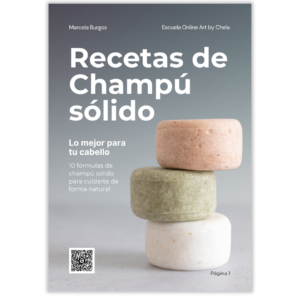 Recetas de Champú Sólido e-book